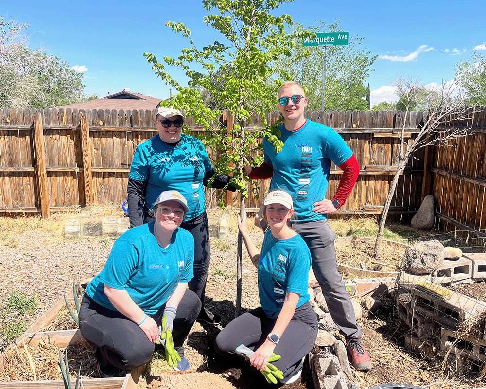 four volunteers planting trees