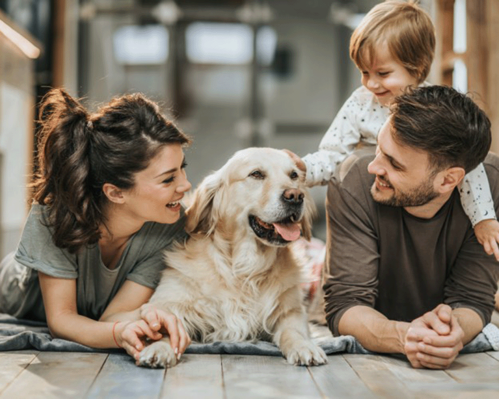 a family and their dog on the floor smiling and playing