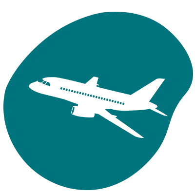 plane icon