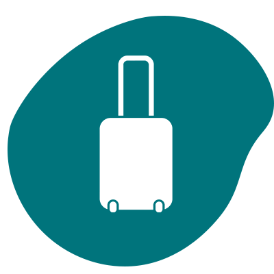 luggage icon