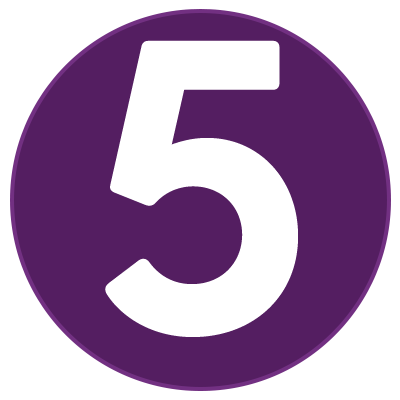 purple 5 icon