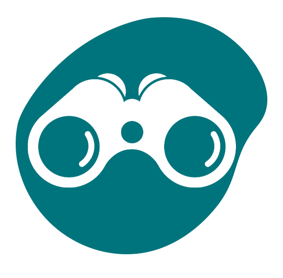 Binoculars icon